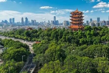 免费人妻精品一区二区三区-免费人妻精品一区二区三区，网络世界的灰色地带与道德边界